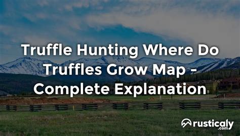 Truffle Hunting Where Do Truffles Grow Map Finally Understand