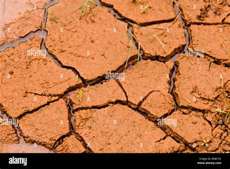 Cracked Earth Wet Rain Hi Res Stock Photography And Images Alamy