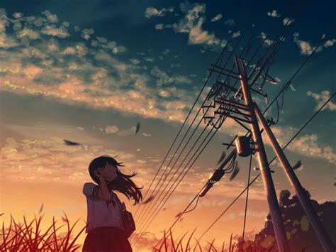 Anime Anime Girls Sky Clouds Summer Sunset Utility Pole Moescape Hd Wallpaper