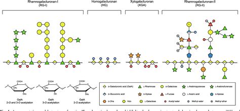 Figure From Insights Into Pectin O Acetylation In The Plant Cell Wall