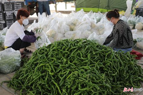 疫时“菜篮子”货足价稳 兰州每天千吨蔬菜直供市场凤凰网甘肃凤凰网