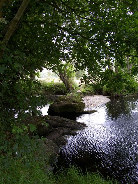 Banco De Imagens Panorama árvore Agua Natureza Rocha Angra