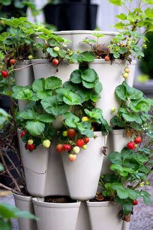 Make A Strawberry Tower Or Strawberry Pyramid Planter