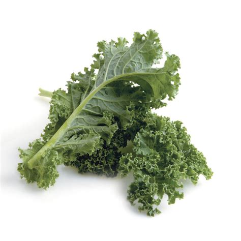 How to Grow Kale - Fine Gardening