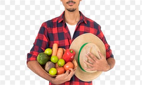 Premium PSD | Farmer Midsection holding a basket of vegetables isolated ... 