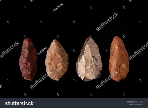 Paleolithic Over 7 804 Royalty Free Licensable Stock Photos Shutterstock