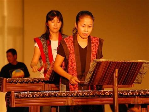 5 Alat Musik Tradisional Beserta Daerahnya Ujian