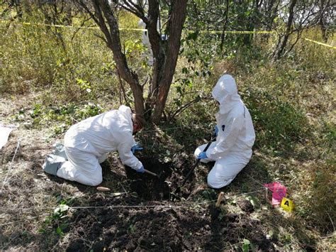 Hallan fosas clandestinas con cinco cadáveres en Michoacán Síntesis TV