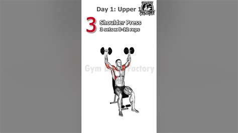 Upperlower Split Day 1 Of 4 Workout Workoutmotivation Fitness Bodybuilding Viral Shorts