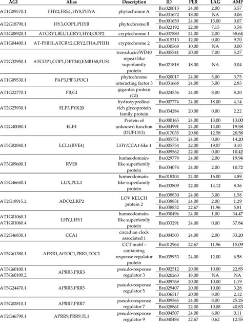 The Lists Of Orthologous Genes Included In Circadian Clock Pathway