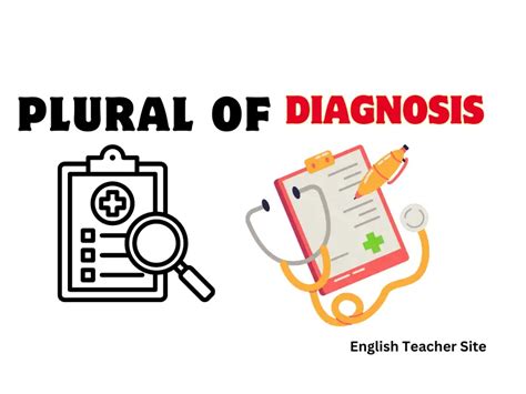 What S The Plural Of Apex Understanding Variations In English Nouns