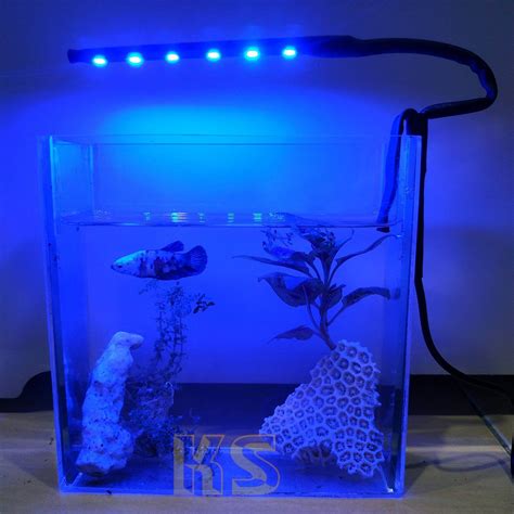 Lampu Aquarium Mini 6 Mata Lampu LED Biru Ikan Hias Ikan Cupang Lampu