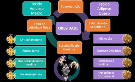 Principais Fatores Relacionados Preven O E G Nese Da Obesidade