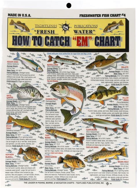 Tightline Publications Fishermans Fresh Water #4 Fish Chart, White ...