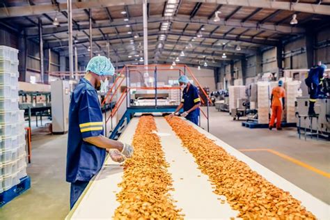 AYUDANTE DE PRODUCCIÓN TURNO DIURNO Y MIXTO