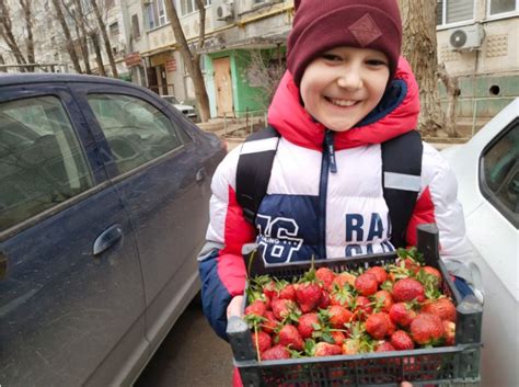 Цены на астраханскую клубнику изумляют