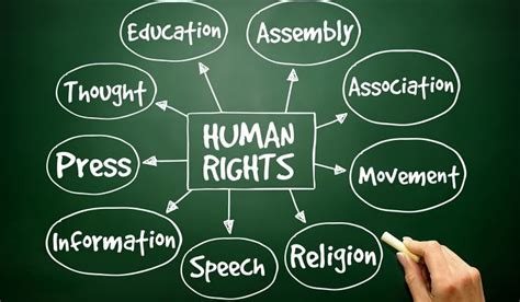 Human Rights Diagram Quizlet