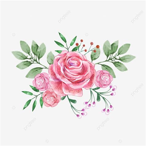 Ramo De Rosas Pintadas A Mano En Acuarela Png Dibujos Flor Flores