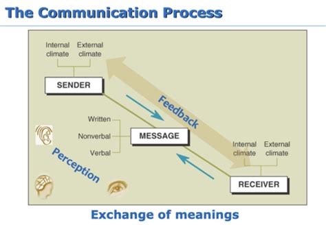 Chapter Organizational Interpersonal And Group Communication In