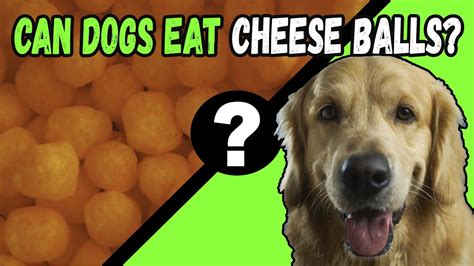 Can Dogs Eat Cheese Balls Youtube