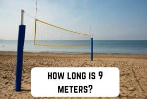 Amazing Things That Are Meters Long Measuringly