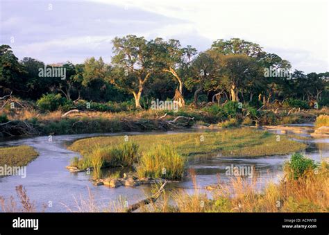 Sabie River, Kruger National Park, South Africa Stock Photo - Alamy