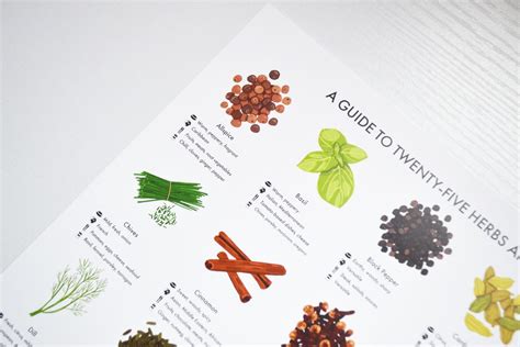 Herbs And Spices Guide Poster A4 A3 A2 Kitchen Print Food Etsy