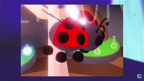 I Made A Neon Ladybug In Adopt Me Youtube