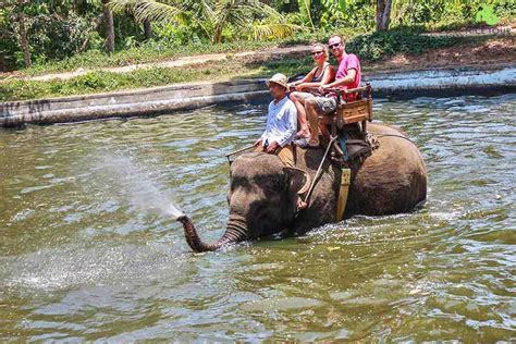 Kintamani Volcano Tour And Elephant Ride Tao Travel 365