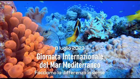 8 Luglio Giornata Mondiale Del Mar Mediterrano YouTube