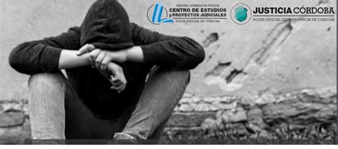 Primer Relevamiento Sobre Adolescentes En Conflicto Con La Ley Penal