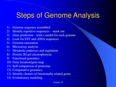 Ppt Genome Analysis Powerpoint Presentation Free Download Id516679