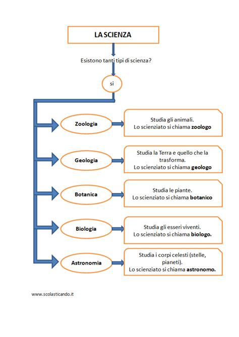 Classe Terza Scienze La Scienza E Il Metodo Sperimentale Schede