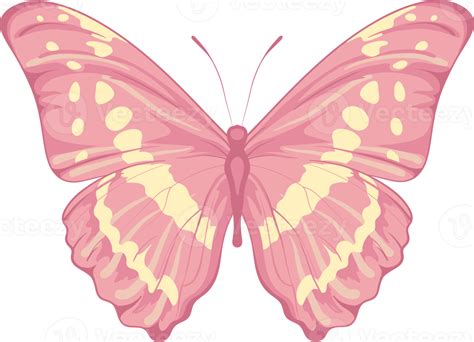 Illustration Beautiful Butterfly Paint 9597496 Png