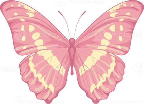 Illustration Beautiful Butterfly Paint Png