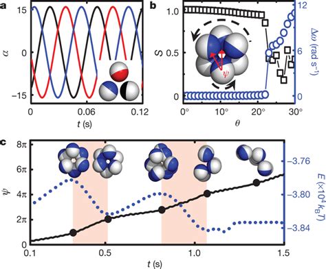 Synchronization Induced Structural Transitions A Illustration Of