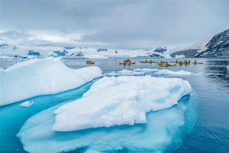 Antarctic Express Cruise South Fly North Antarctica Travels