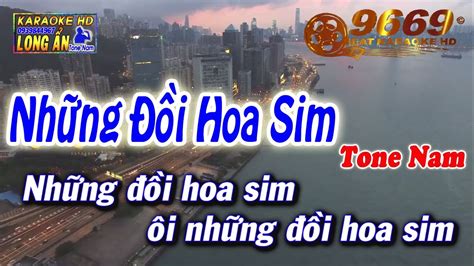 Karaoke Nh Ng I Hoa Sim Tone Nam Beat Chu N Nh C S Ng La Studio