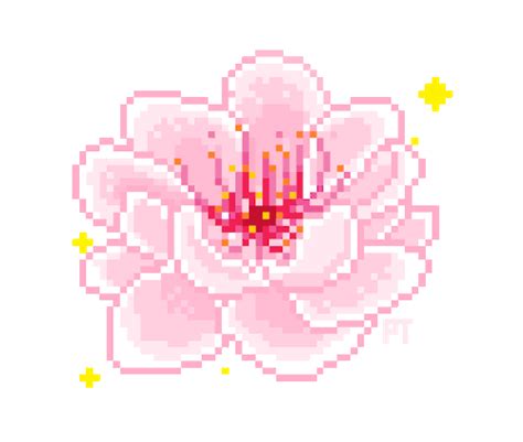 Cherryblossom Discord Emoji