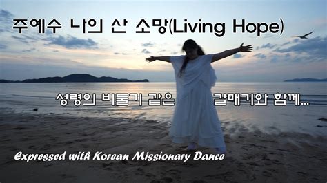 Living Hope 주 예수 나의 산 소망 Sung By 레위지파 Danced By Juyoung Kim Youtube