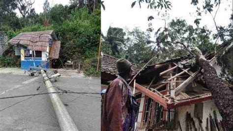 Angin Kencang Tumbangkan Pohon Dan Tiang Listrik Di Tasikmalaya