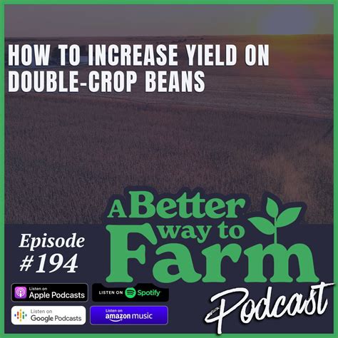 194: How To Increase Yield On Double-Crop Beans