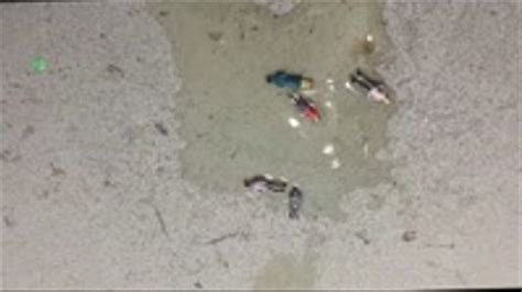 Giantess Piss Porn Videos Clips Sale