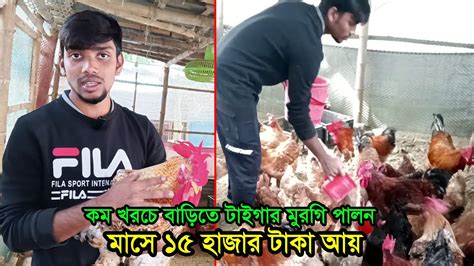 একদম কম খরচে বাড়িতে টাইগার মুরগি পালন করে বাজিমাত Youtube