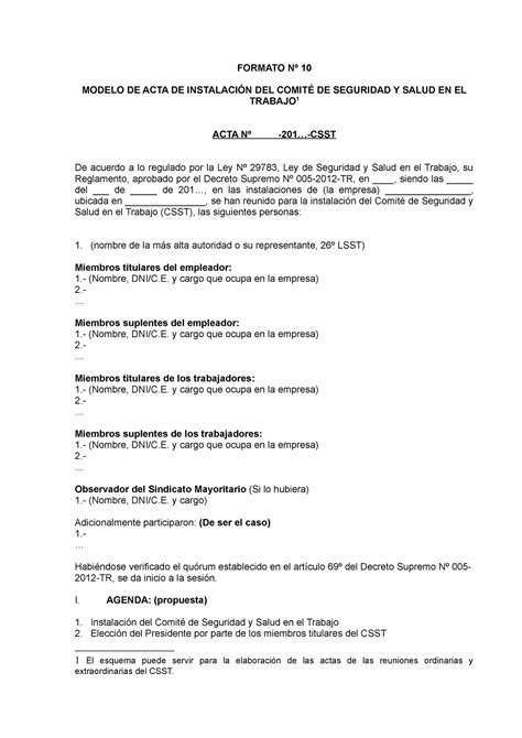 Acta instalacion comite FORMATO Nº 10 MODELO DE ACTA DE INSTALACIÓN
