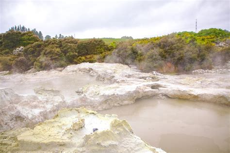 Rotorua Attractions Hells Gate Geothermal Area And Spa