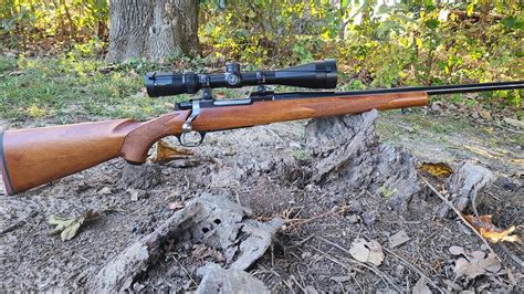 Ruger M77 Hawkeye 22 250 And A Little Cheese Youtube