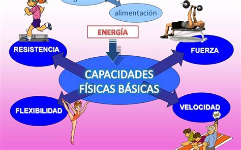 Tomi Digital Capacidades F Sicas