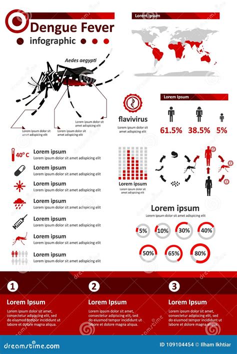 Dengue Fever Infographics Template Design Of Details Dengue Fever And