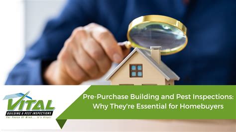 Pre Purchase Building And Pest Inspections Why They Re Essential For